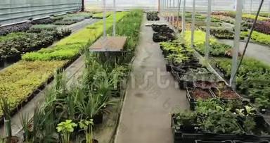 轻型工业温室，里面有均匀的一排植物。 <strong>现代农业</strong>：生长在自动化温室里。